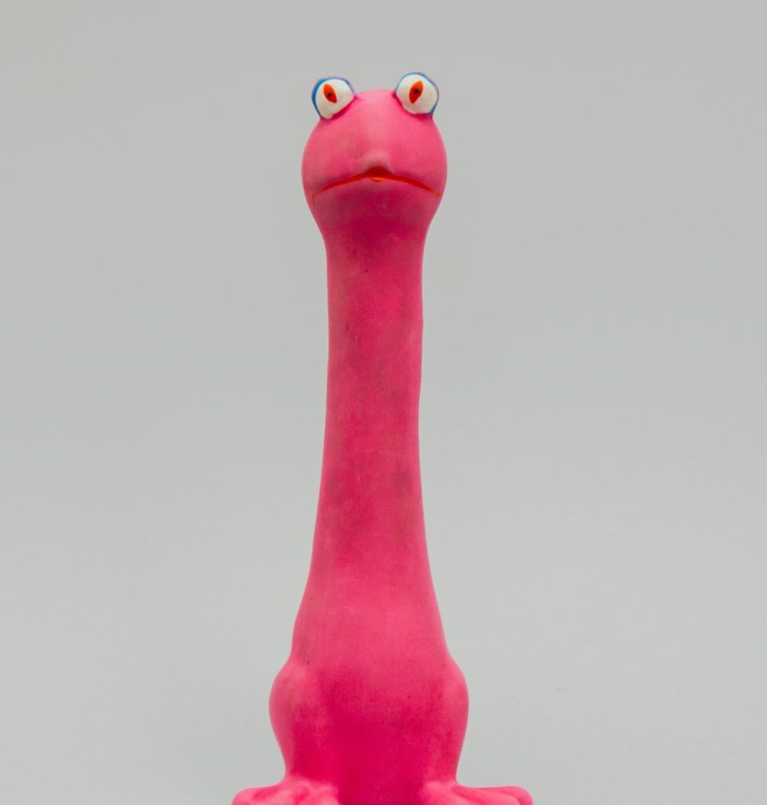 pink frog toy